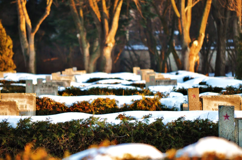 WROCŁAW – MONUMENTAL CEMETARY OF RUSSIAN II WORLD WAR SOLDIERS (In memory of…) by baronyuri.