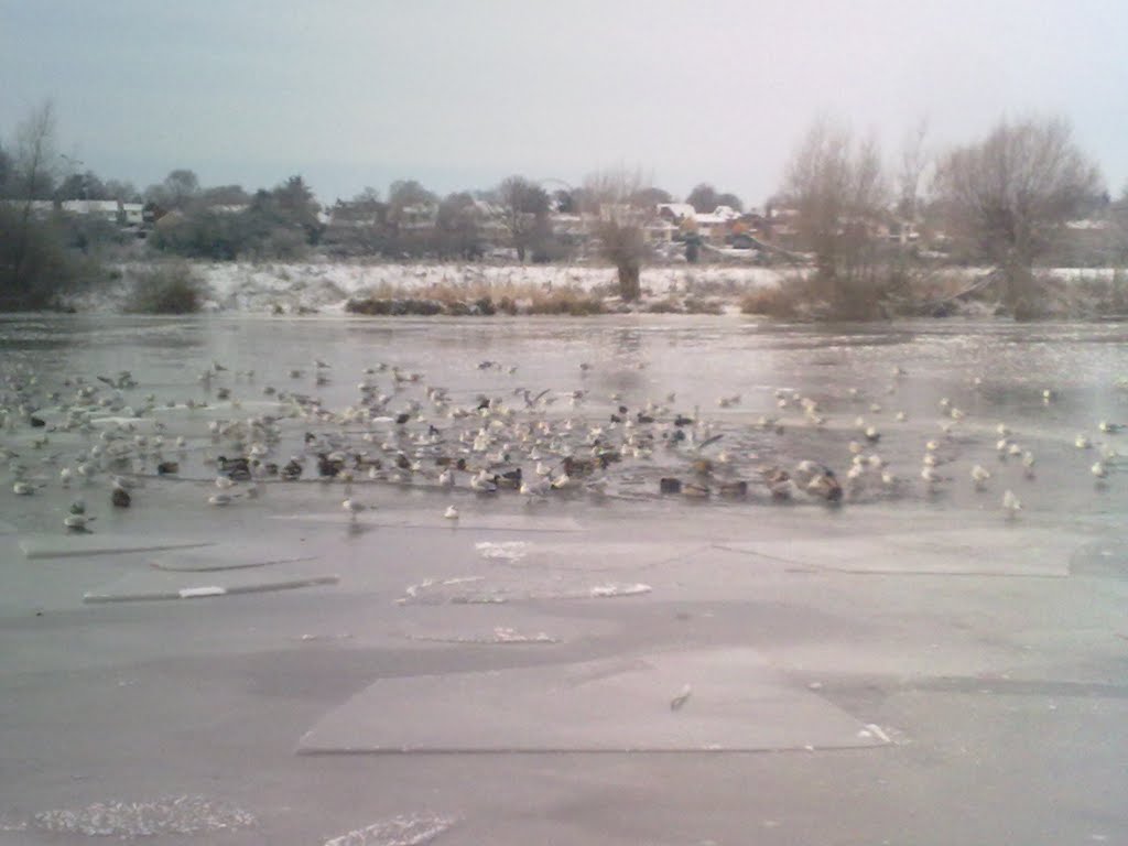 Frozen river dee at sandy lane by andylav78