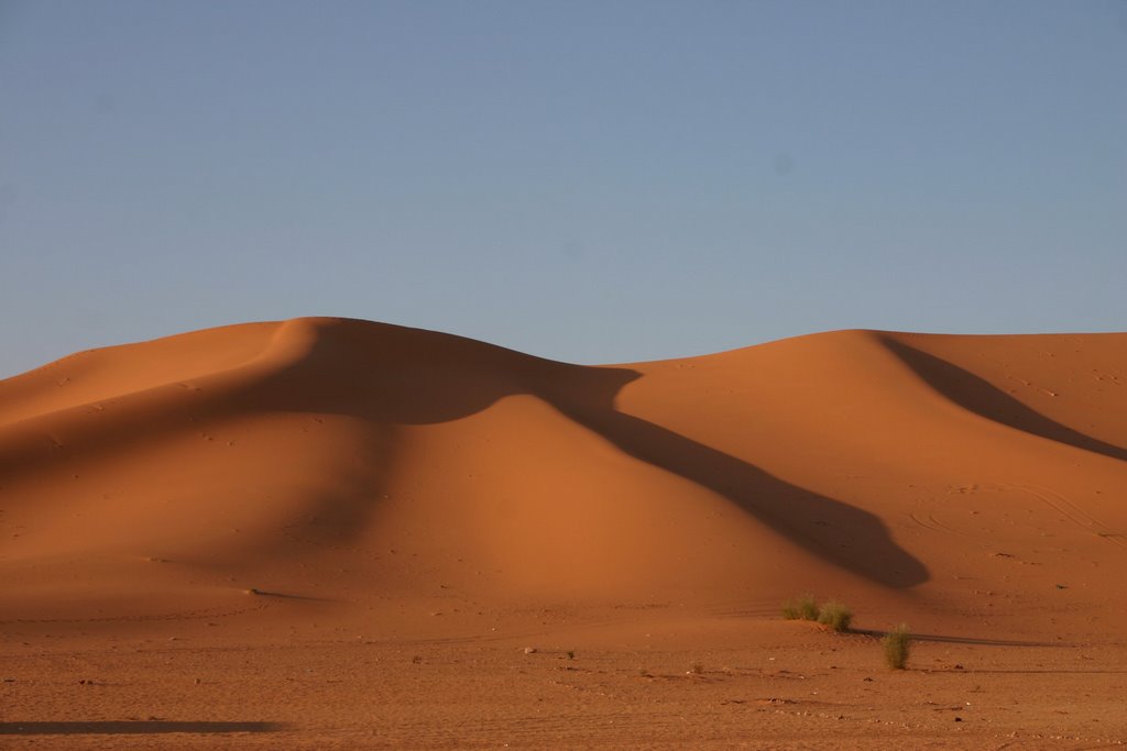 Dune de béni Abbes by Salamani