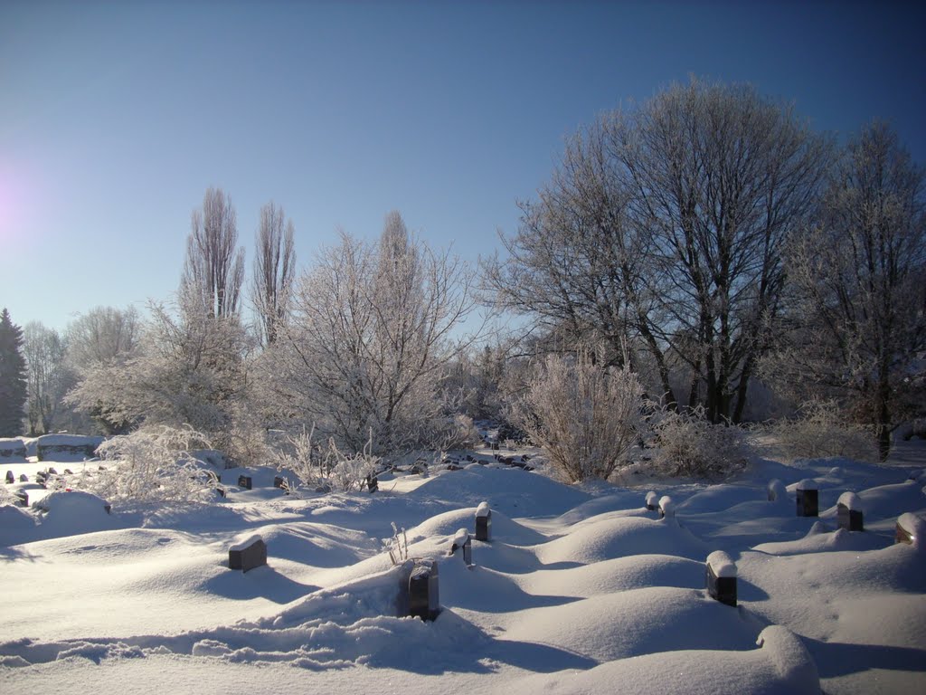 Ilmenau cemetery in winter by Mykola Czerjoszyn