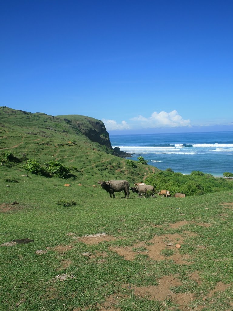 Kuta Lombok by A.Weisser