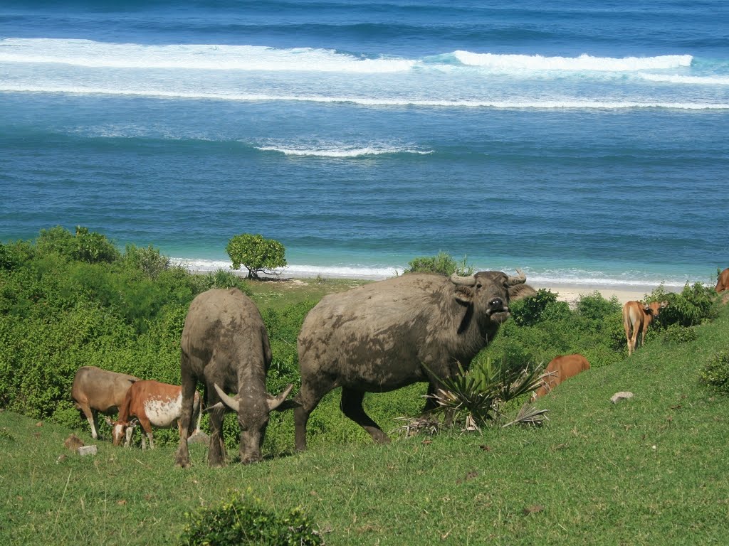 Kuta Lombok by A.Weisser