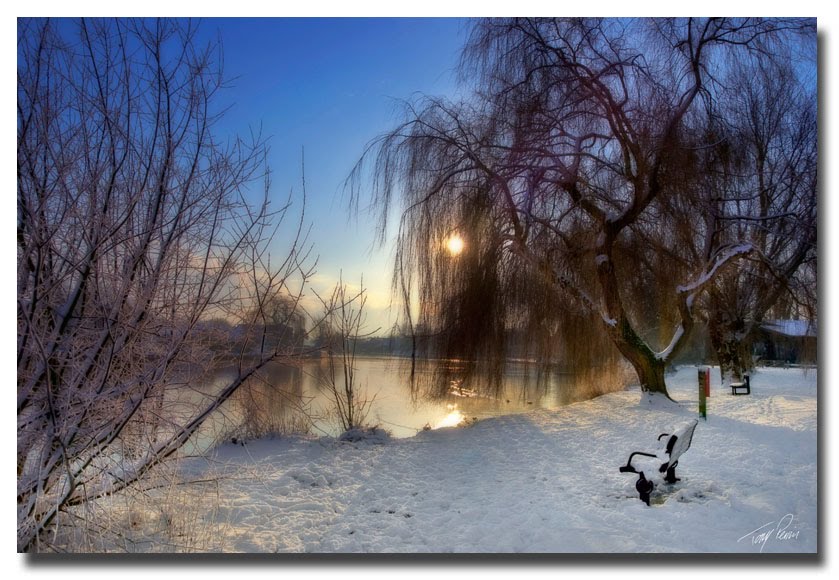 River Thames, Runnymede by Tony Perrin