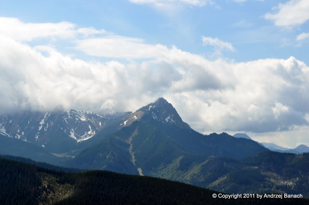 Tatra Mountains, Giewont (1895) by Andrew :-)