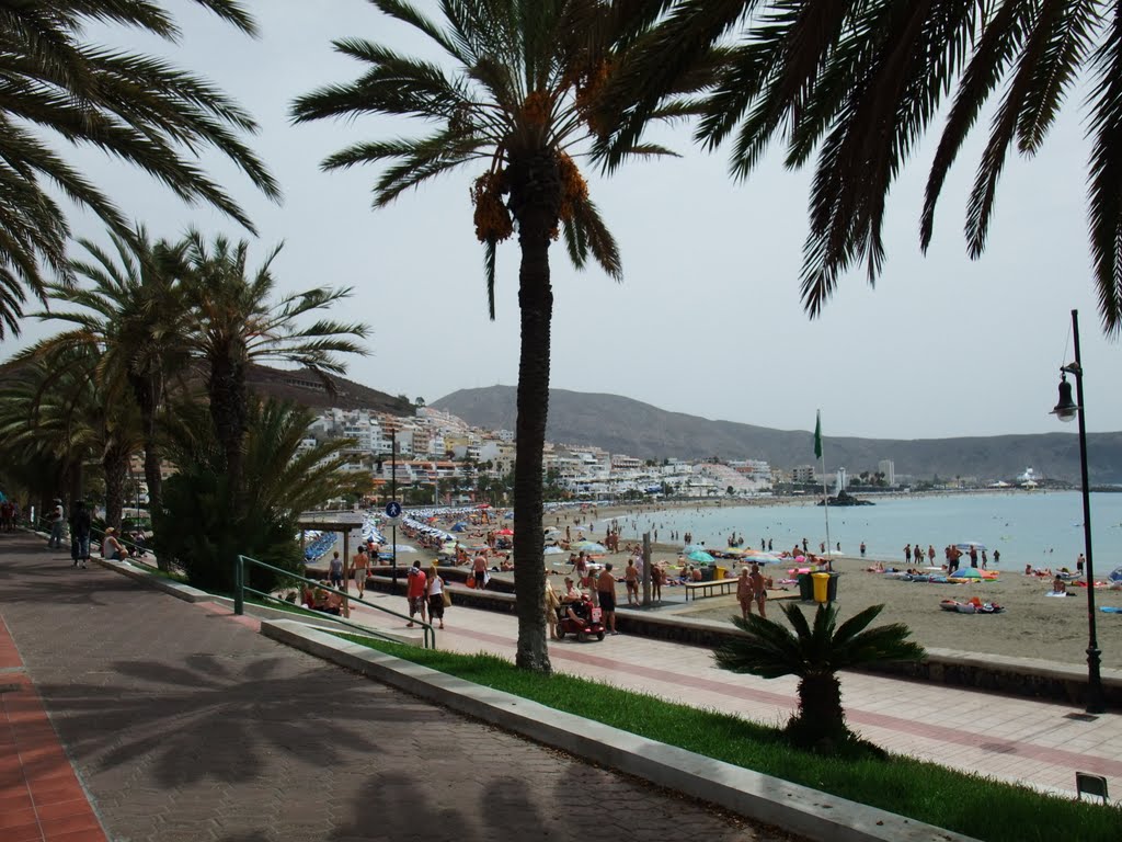 Teneriffa - Playa de las Americas by Matthias H.