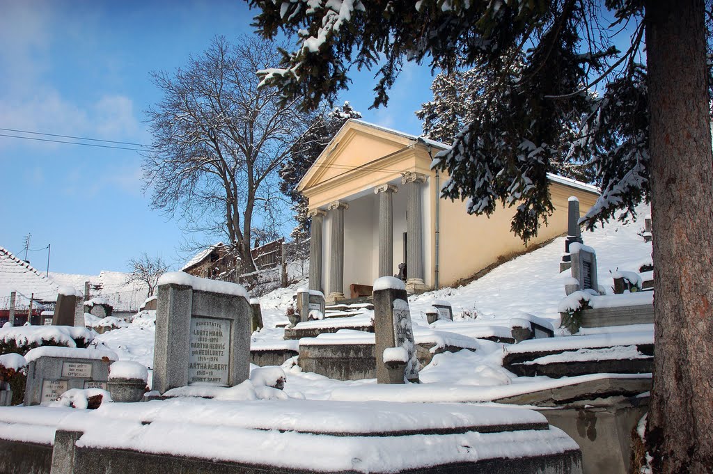 2010 iarna - Cimitirul evanghelic Reghin 9 - Szászok temetője by balazs csaba