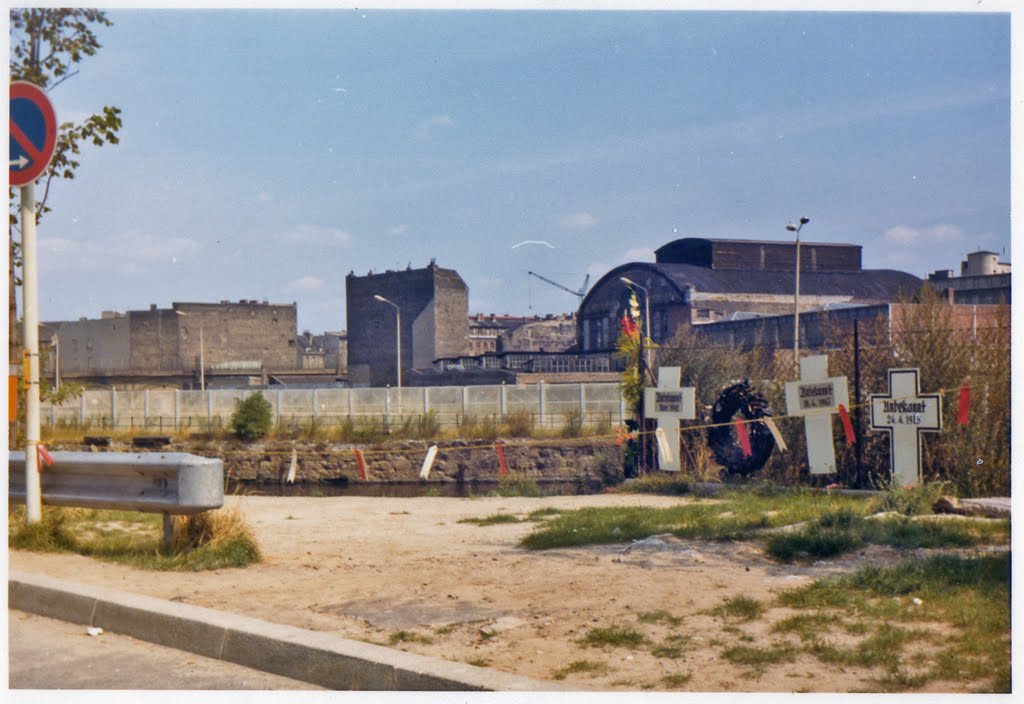 The Wall, 1973 by Manu Vilela