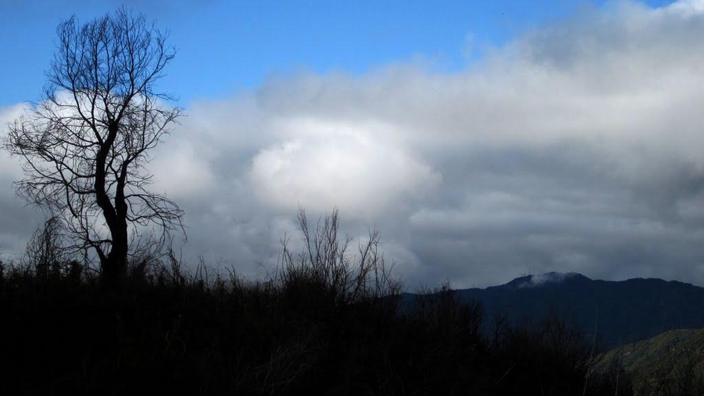 Glendora mountain rd. by kemplo