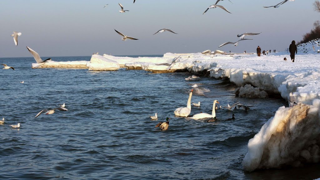 Kołobrzeg-plaża zimą by jerzy.m