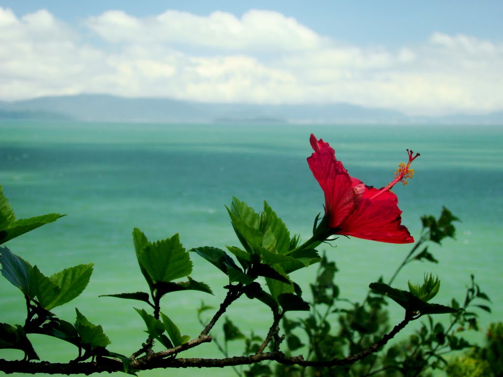 Praia de São Miguel - Biguaçú - SC by ♣_Valmice_ ♣