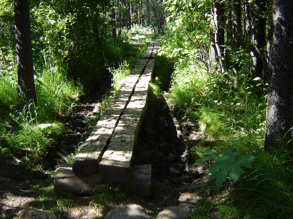 Rocky Mountain National Park 2010 by 1RDAK2