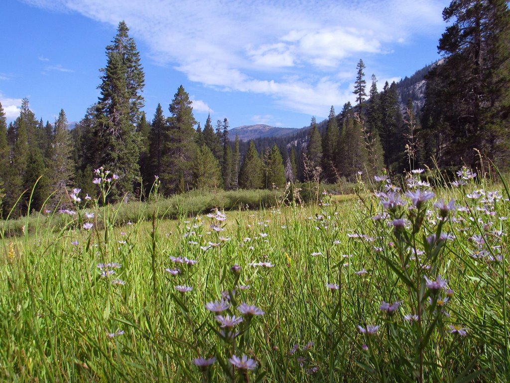 Red's Meadow (north view) - August 2007 by Karl Peterson