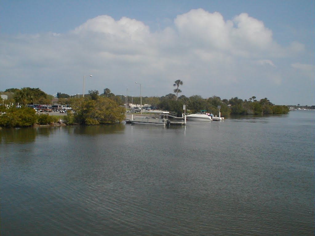 View of Riverside Park by Franz Schürtz