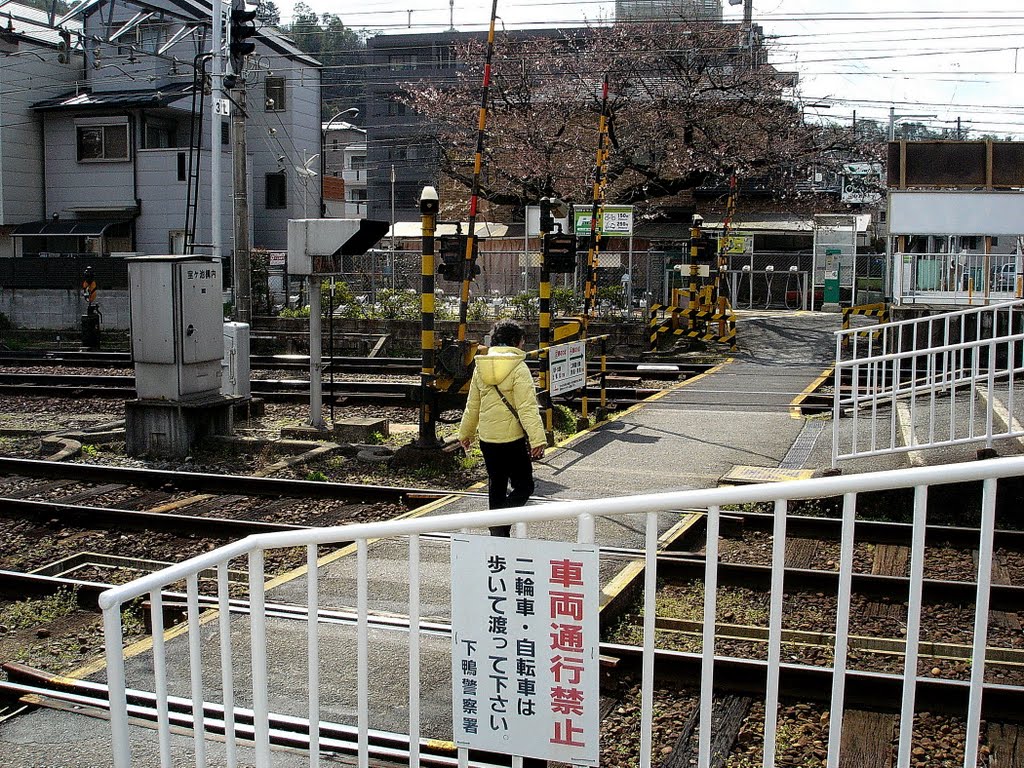 京都 叡山電鐵本線 寶池駅 by Percy Tai  漆園童