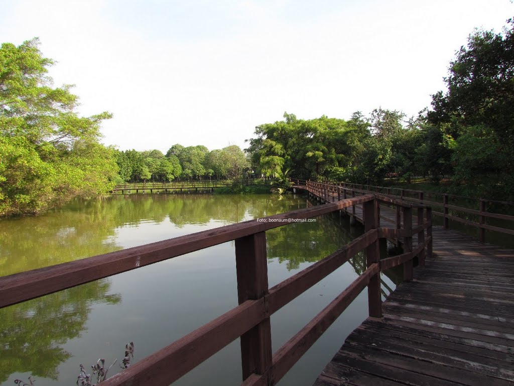 Sri Nakorn Kuen Khan Park : ศรีนครเขื่อนขันธ์ by Boonaum Hongkham, บุ…