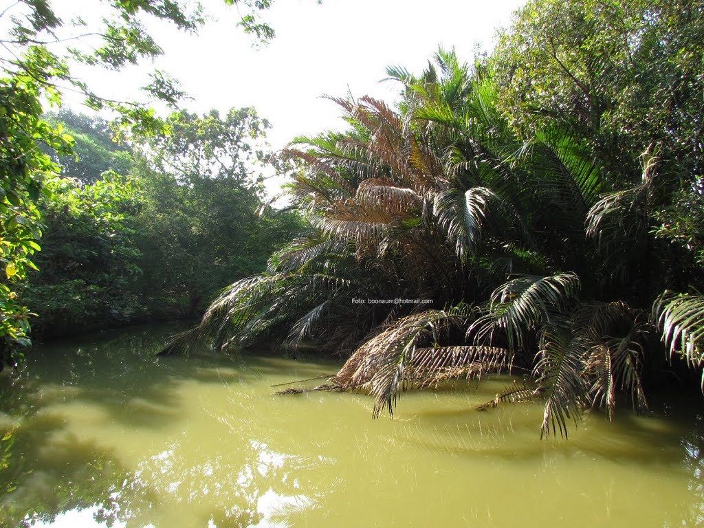 Sri Nakorn Kuen Khan Park : ศรีนครเขื่อนขันธ์ by Boonaum Hongkham, บุญอุ้ม หงษ์คำ