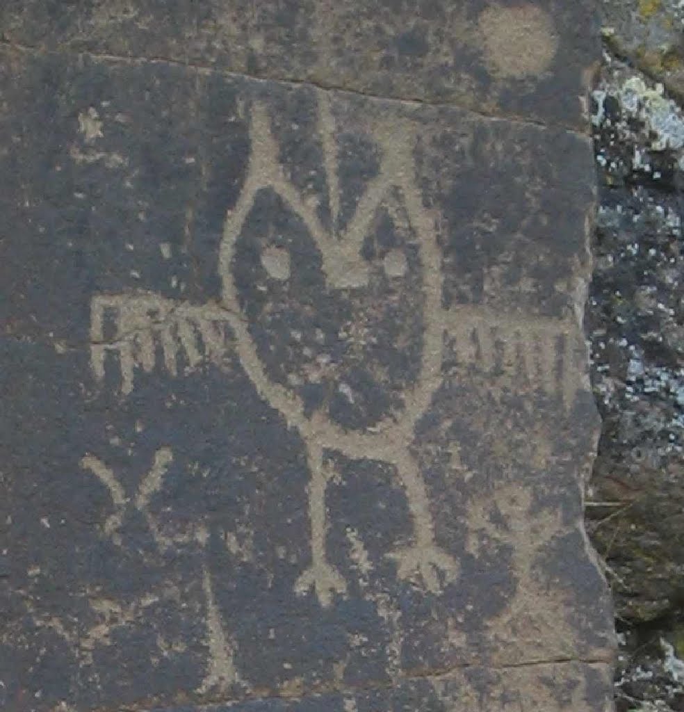 Spedis Owl petroglyph by Curious Gorge Guidebook