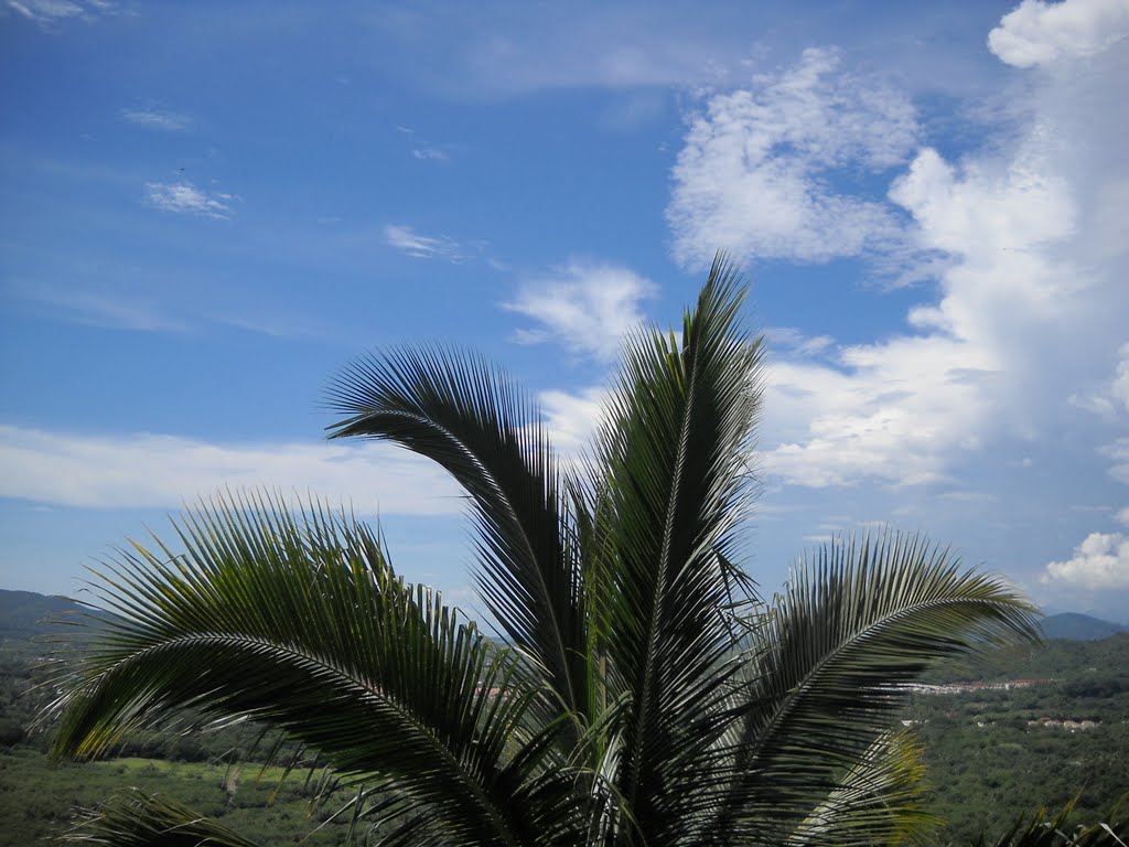 A View to Ixtapa by Travel