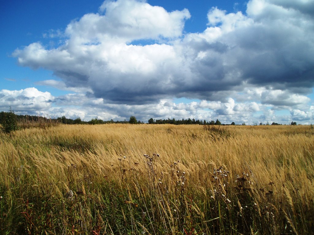 Borodino field by Vasily  Vlasov