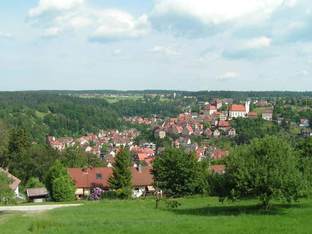 Altensteig, von der Straße nach Egenhausen gesehen by RDZfds