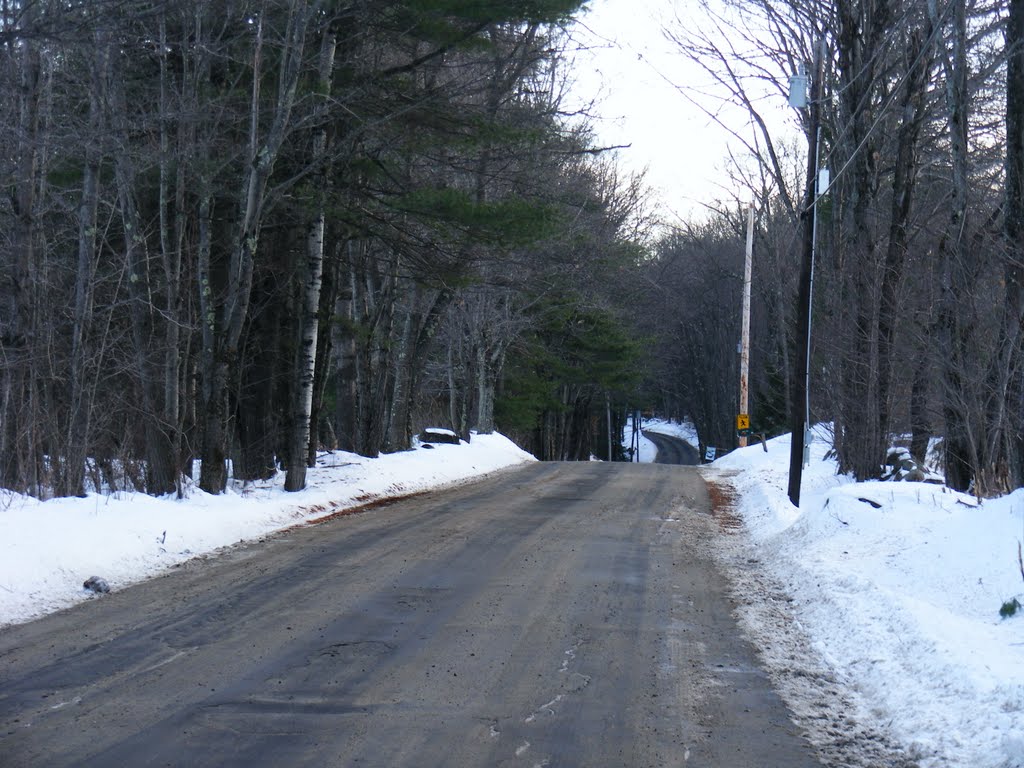 Cressy Rd from the corner of Marshall Hill and Hogg Hill. by JB The Milker