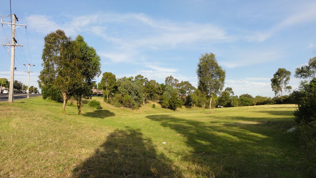 Thompsons Road Reserve by Con Tassios