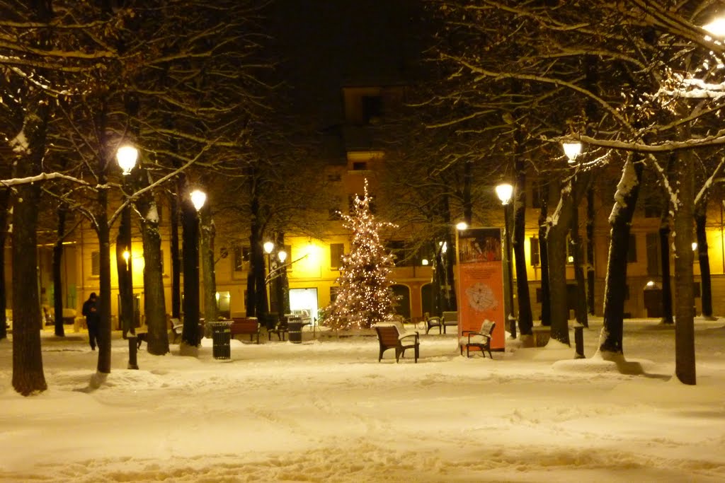 Snowing night at Piazza by iurim