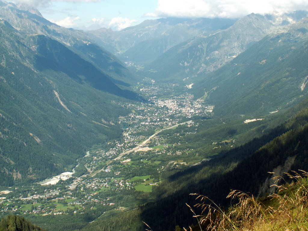 Bis zur Kirche von Chamonix sind es noch 3 Stunden Marsch / Col du Mont Lechat 2134 müM. by Norbert Burgener