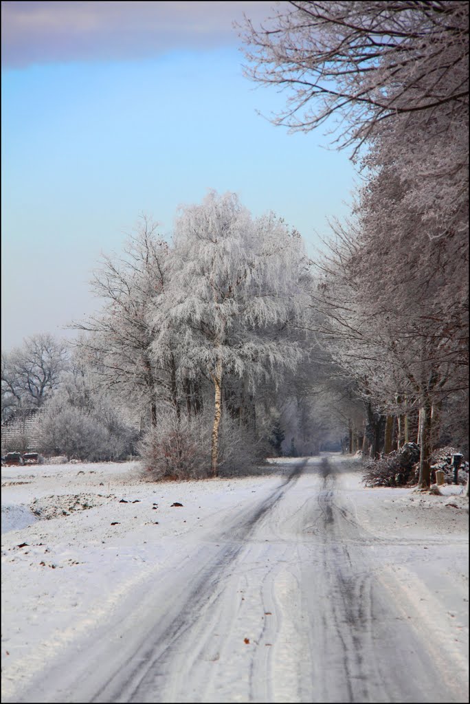 Onstwedde: 1e barlagerweg in wintersfeer by © Dennis Wubs