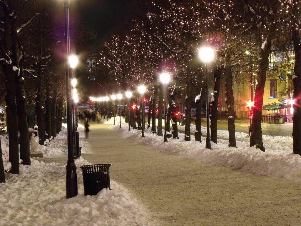 Karl Johans gate by Alexandru Ioan