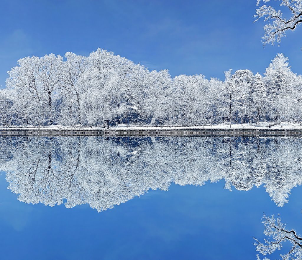 Simfonie de iarna-Inverno Symphony-Winter Symphony-Sinfónia invernal - by Laurentiu Mitu