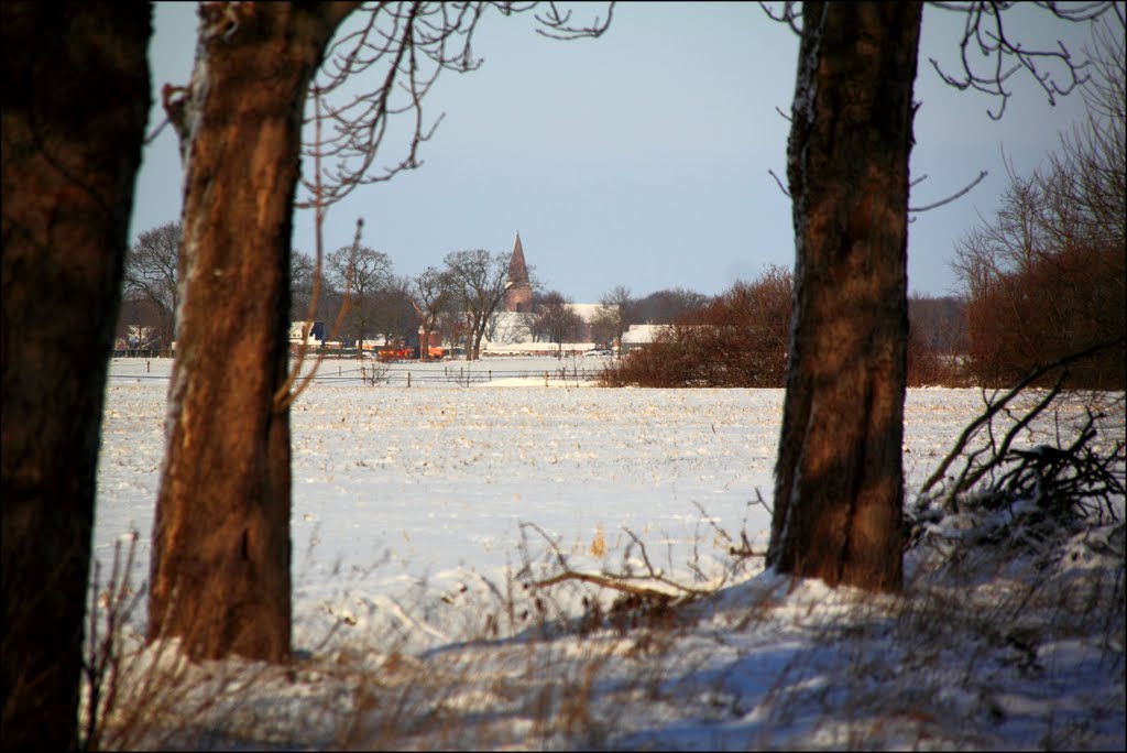 Winterlandschap richting Onstwedde by © Dennis Wubs