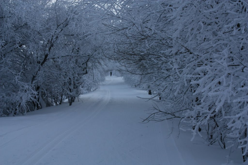 Tunnelblick bei Zinnwald by Philipp W.