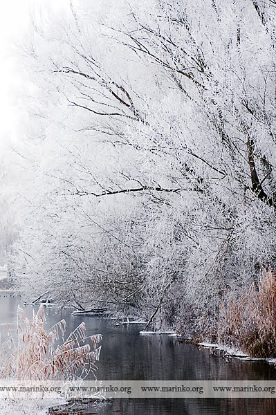 Baranja by fotomarinko