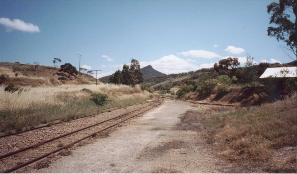 Woolshed Flat by Harse