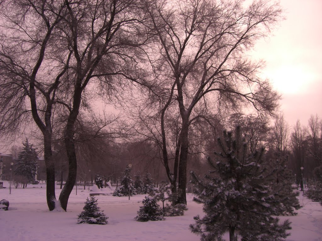 Voznesenivskyi district, Zaporizhia, Zaporiz'ka oblast, Ukraine by nikol2007