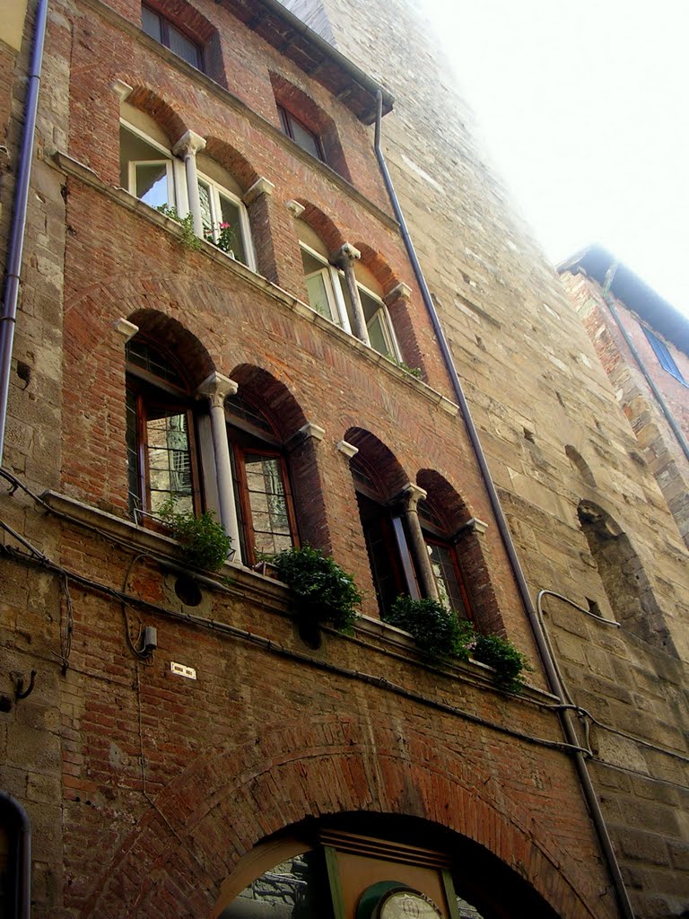 Lucca, Via Fillungo by Aldo Ferretto