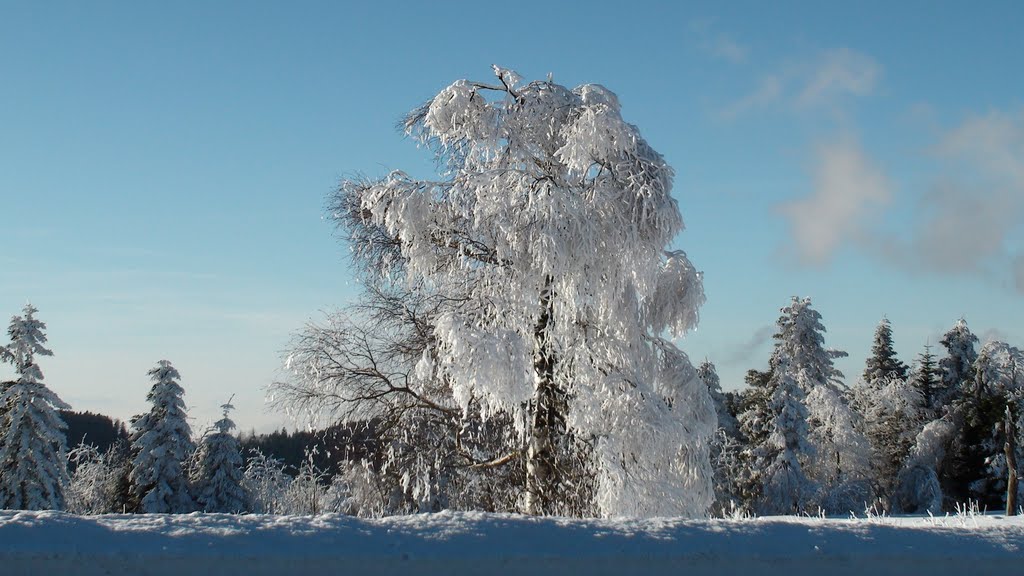 Winter Wonderland (Schwarzwaldhochstraße, Alexanderschanze) by hebbix