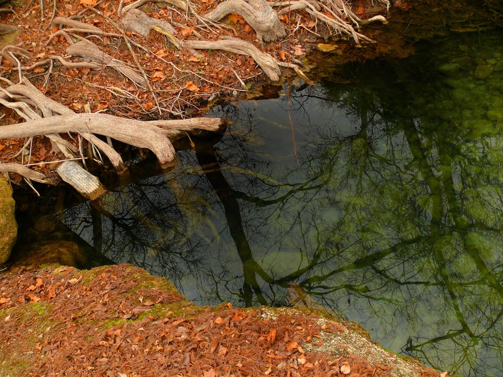 Blanco River by yaoshaopow