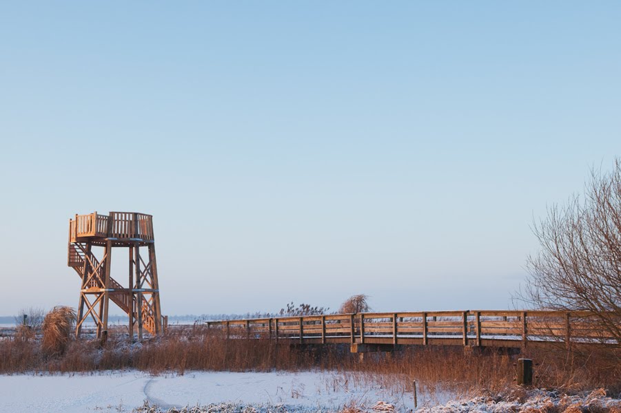 Uitkijktoren by dejee4