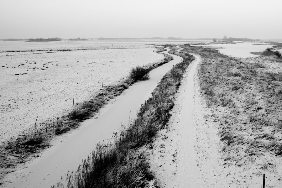 Westerpolder by dejee4