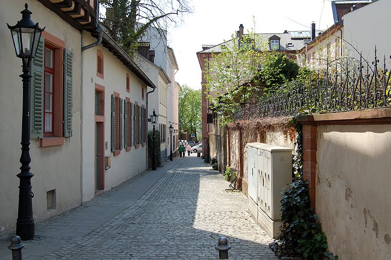 Fürstengasse by GEO.S