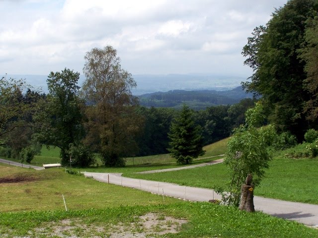 Blick vom Gasthof Felsenegg Richtung Westen by RalfH