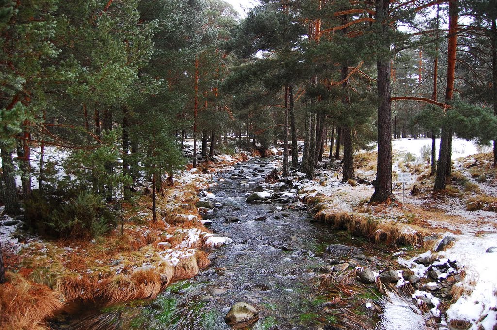 Navarredonda de Gredos, Ávila by disierra27@gmail.com