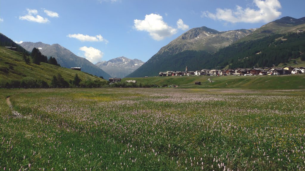 Livigno by Guido Freiherr von R…