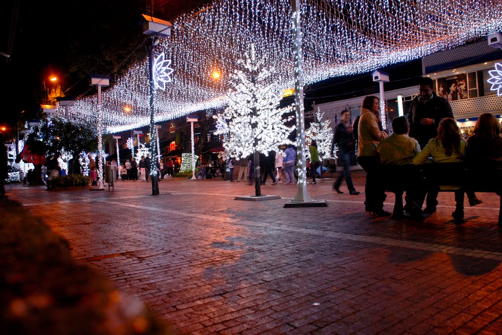 ZONA T BOGOTÁ NAVIDAD 2010 by EDGAR R CARRILLO