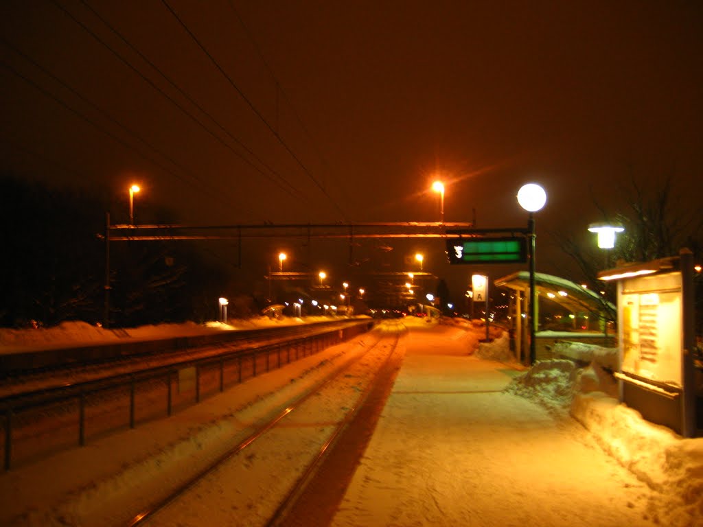 Töreboda station, Sweden. (1) by JuhaVnt