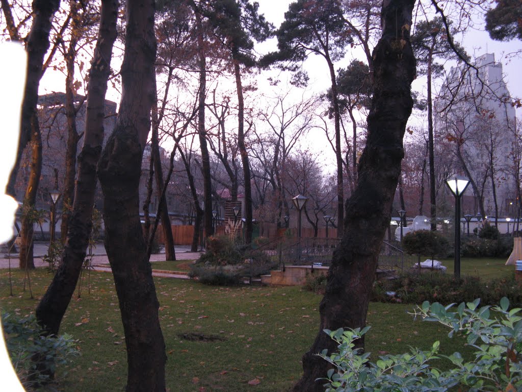 Iranian Art Museum Garden, Tehran by Misterp