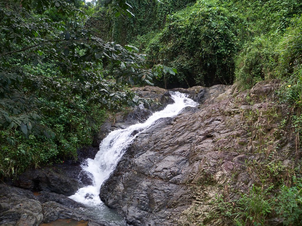 Piedra Gorda River by Daviones