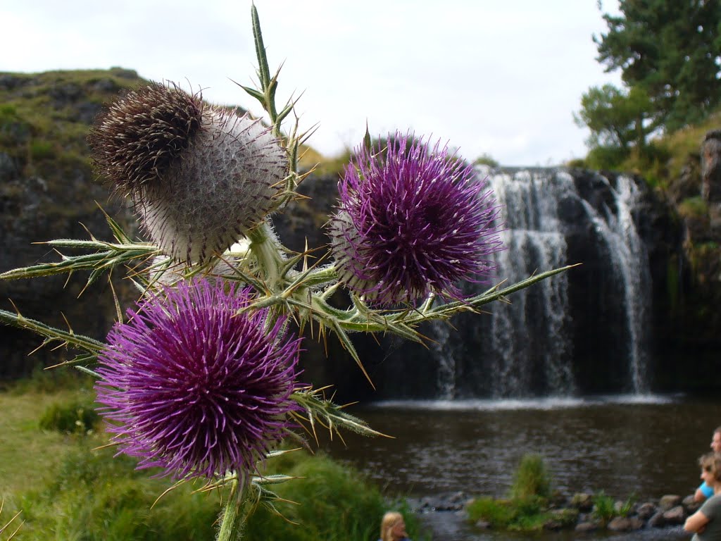 Cascade de Veyrines - Chardons by Patrick P.